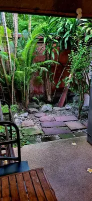 a view of a garden with plants and a bench at OASIS by Four Twenty in Chalong