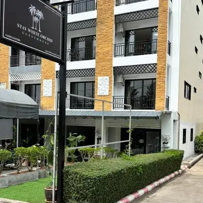 Stay White Orchid