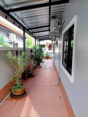 a walkway with potted plants on the side of a building at House in the heart of Kamala in Kamala Beach