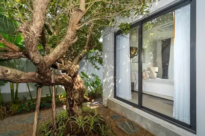 a tree in front of a house with a window at Villa Beautiful swimming pool in Phuket