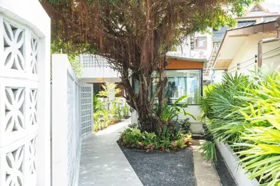 a tree in the courtyard of a house at The Banyan House in Patong Beach