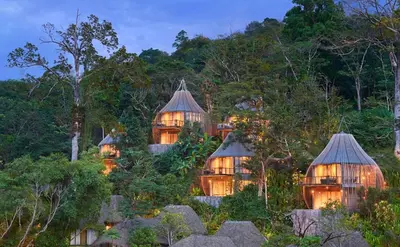 a building in the middle of a forest at night at Keemala - Tree Pool House in Kamala Beach