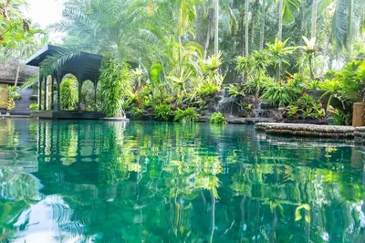 a pool in the middle of a jungle with trees at Villa Habeebee in Ao Nang Beach