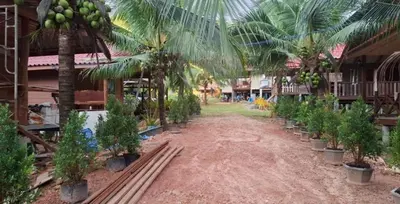 a row of palm trees in front of a building at Fadel Bungalow ฟาดิลบังกะโล in Ban Lo Pa Ret