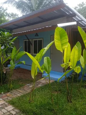 a house with green plants in front of it at Bang risskee home stay2 in Ko Yao Noi