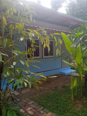 a blue house with a tree in front of it at Bang risskee home stay1 in Ko Yao Noi