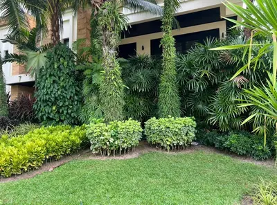 a garden with green plants and a building at Spacious 3 bedroom, 100m walk to Layan Beach in Phuket