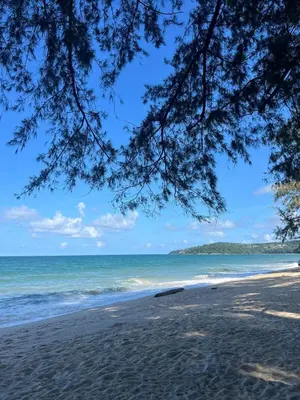 a view of the beach from under a tree at Spacious 3 bedroom, 100m walk to Layan Beach in Phuket