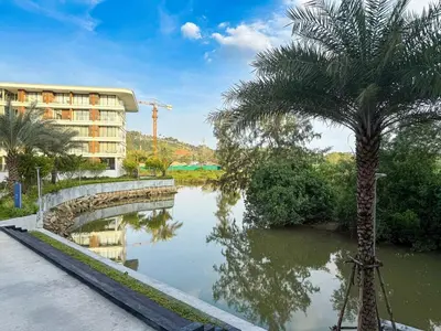 a palm tree next to a river with a bridge at Sunshine Layan Beach Resort studio #84191 in Layan Beach