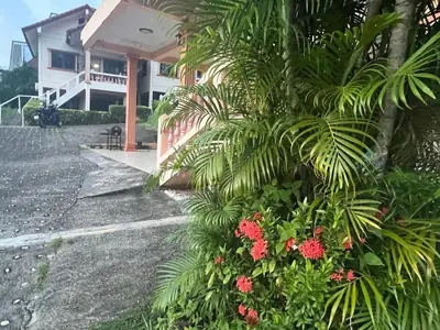a plant with red flowers in front of a house at Karon cottage Resort 2 Bedrooms Vl and BBQ in Karon Beach