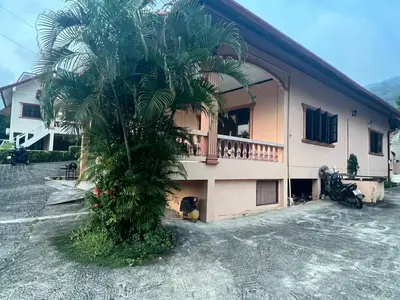 a palm tree in front of a house at Karon cottage Resort 2 Bedrooms Vl and BBQ in Karon Beach