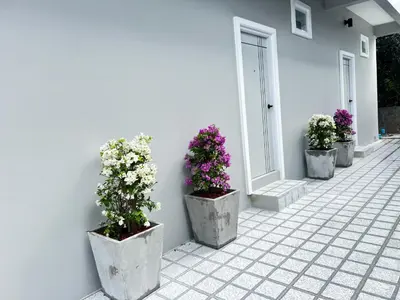 a group of potted plants on the side of a building at Sarona House 3 in Ban Thalat Choeng Thale