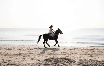 a woman riding a horse on the beach at Two Bedroom Sea View by Triple 8 Asia in Layan Beach