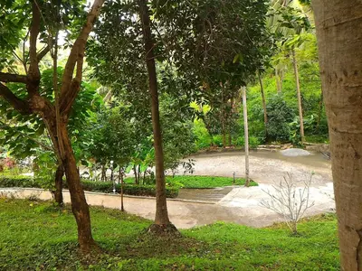 a park with a bunch of trees and a road at Baan-kawkaew-kata in Karon Beach