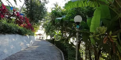 a street with a street light next to some plants at Baan-kawkaew-kata in Karon Beach