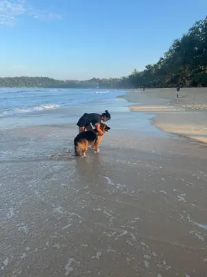 a person and a dog walking on the beach at Milos House in Ban Kata
