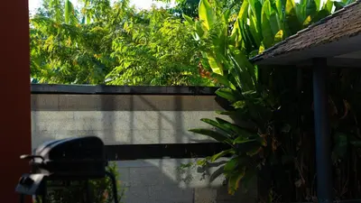 a wall with a bunch of plants on it at BangTao 3 Bedrooms Bali Tropical Pool Villa Quiet Private Space Guest Preferred in Bang Tao Beach