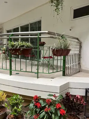 three potted plants on a railing on a porch at Roomy renovated Apartments in Phuket in Ban Sam Kong