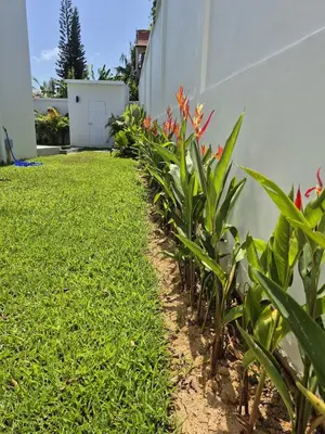 a row of plants next to a building at Newly built private Quinta Lane 4br pool villa in Ban Saiyuan (1)