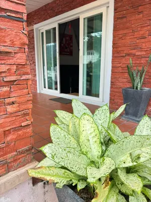 a patio with a plant next to a building at NS Private Pool villa in Ban Na Kok