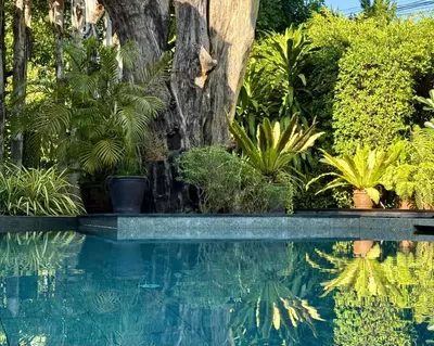 a swimming pool with plants in a garden at 3-bdr Premium Villa in Nai Harn Baan Bua by Neo With Love in Phuket Town