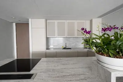 a kitchen with white cabinets and a potted plant at Потрясающие апартаменты на Банг Тао in Laguna Phuket