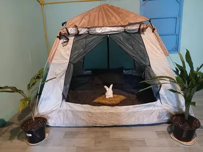 a small tent with a bunny in it at Kalaland camp tant Patong in Patong Beach