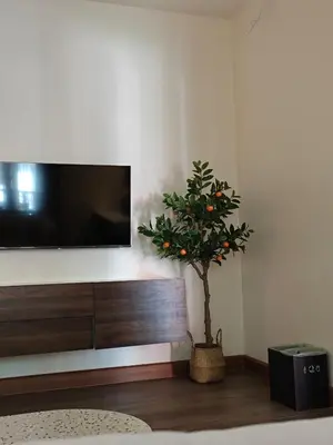 a living room with a tv and a potted plant at Tangerine Villa Patong in Patong Beach