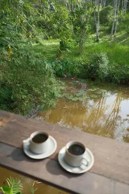 two cups of coffee sitting on a wooden table at Kalm Cabin Phuket in Ban Phak Chit
