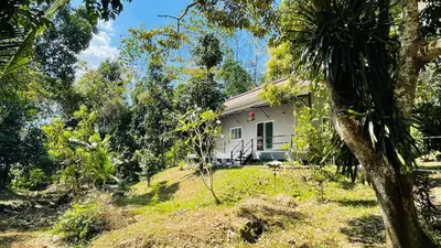 a white house in the middle of a forest at House Party of Lee in Ban Huai Sai