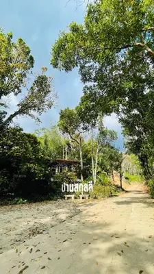 a dirt road with a sign in the middle of trees at House Party of Lee in Ban Huai Sai