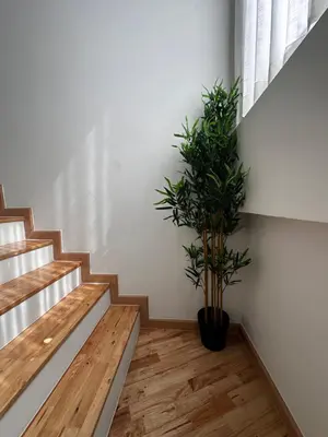 a staircase with a potted plant in a room at Patong Relax Home in Patong Beach