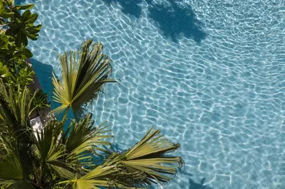 an overhead view of a pool of water with palm trees at Vela 1BR Suite — The Title Legendary BangTao in Bang Tao Beach