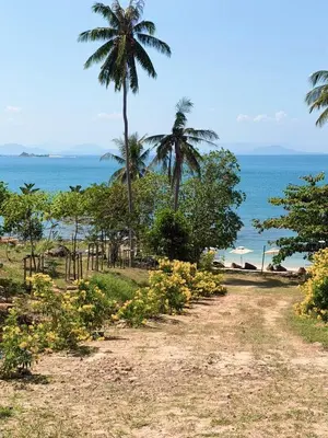 a dirt road with palm trees and the ocean at Seadome Kohyaoyai Resort & Restaurant