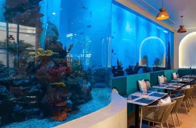 an aquarium in the dining room of a restaurant at Studio 50 meter from Layan Beach in Layan Beach