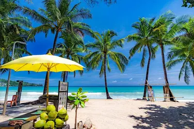 a beach with a yellow umbrella and palm trees at Seaview 1BR Apt Oceana C36 near Kamala Beach in Kamala Beach