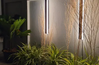 a group of plants sitting next to a wall with lights at Phuket sun n soul House in Ban Tha Rua