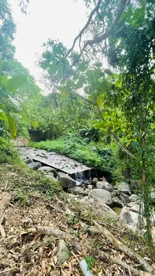 a creek in the middle of a forest with rocks at House of Lee-Party room in Ban Huai Sai