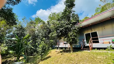 a house in the middle of a forest at House of Lee-Party room in Ban Huai Sai