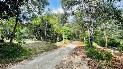 a dirt road in the middle of a forest at House of Lee-Party room in Ban Huai Sai
