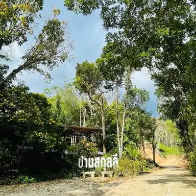House of Lee-Party room