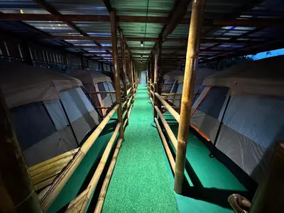 a row of camping tents with green grass inside at The Tent Naiyang in Nai Yang Beach