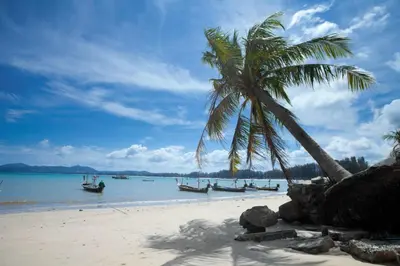 a palm tree and boats on a beach at Large 1 Bedroom Apt Sleeps 4, Close to Beach - RM 1 in Ban Lum Fuang