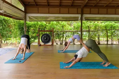 a group of people in a yoga class at TheLifeCo Phuket - Holistic Wellbeing Center in Nai Thon Beach