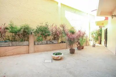 a courtyard with potted plants on the side of a building at Ban Elephant Blanc Apartment in Kata Beach
