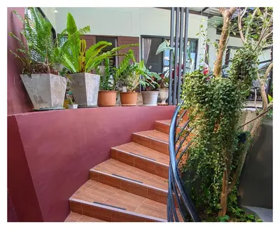 a set of stairs with potted plants on a wall at 3B Apartment-SHA Extra Plus in Kamala Beach