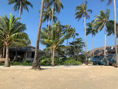 a house on the beach with palm trees at Phi Phi Little Star Resort in Phi Phi Don