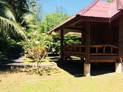 a small building with a tree in the grass at Namtok Bungalows in Ko Yao Noi