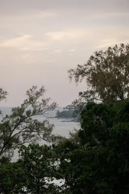 a view of a body of water between trees at Bluesiam Villas - SHA Certified in Surin Beach