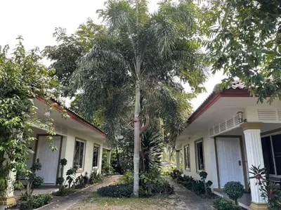 a palm tree in front of a house at Vacation Garden Villa in Thalang